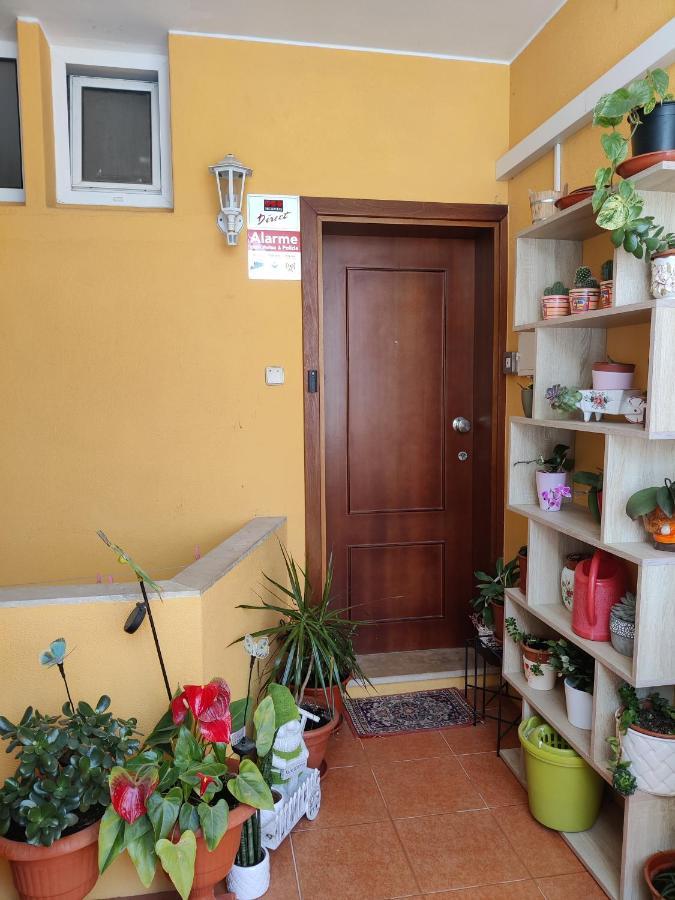 Casinha Gabriela Daire Lagos Dış mekan fotoğraf